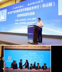 四川省政府商引资大会led显示屏租赁