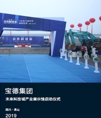 宝德集团启动仪式led屏租赁